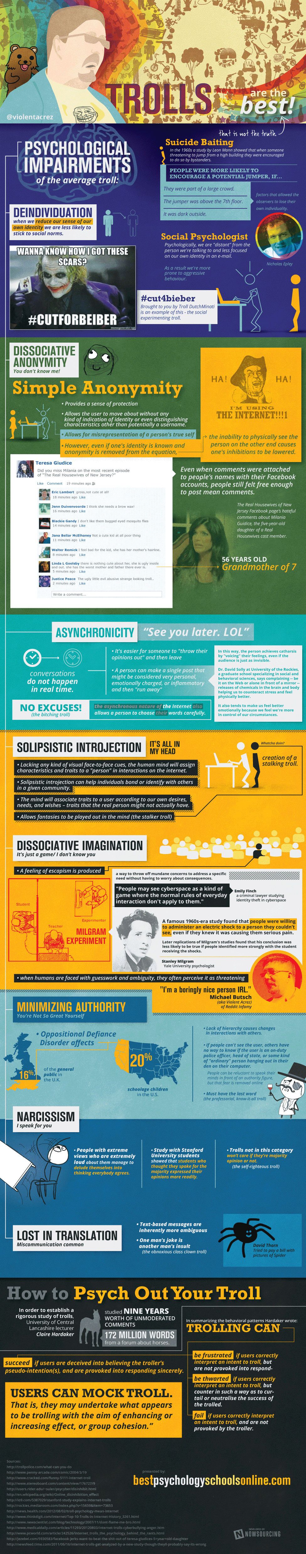 Psychology of an Internet Troll