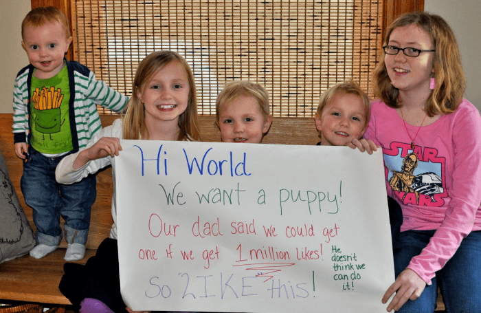 Children Who Needed One Million Facebook Likes To Get A Puppy Get Their Wish