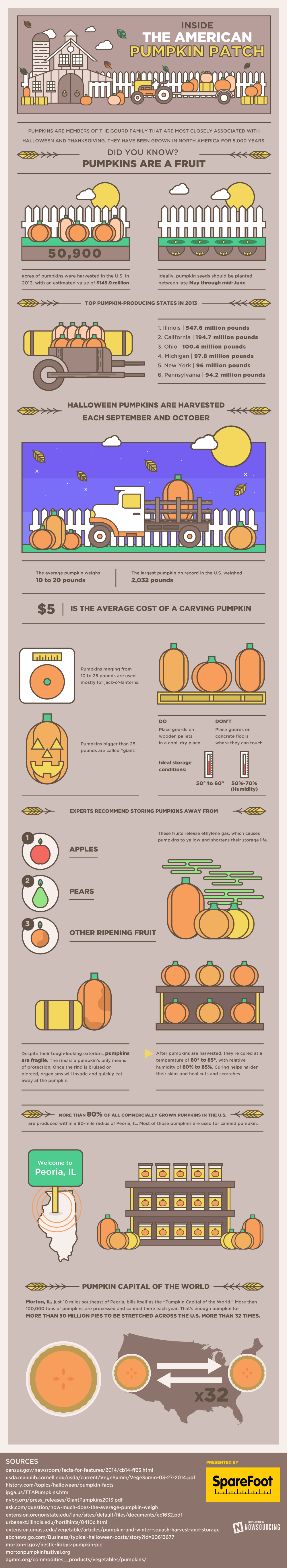 pumpkins1 (1)