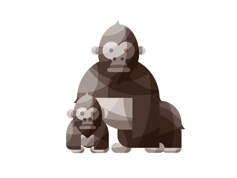 What Do Your Eyes Tell The World?