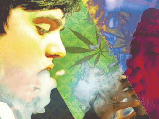 A Connoisseur’s Guide to Knowing Marijuana Strains