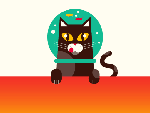 Why The Internet Is Obsessed With Cats