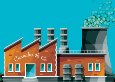 The Business Of Cannabis