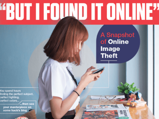 A Snapshot of Online Image Theft