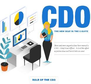 CDO – The New Seat in the C-Suite