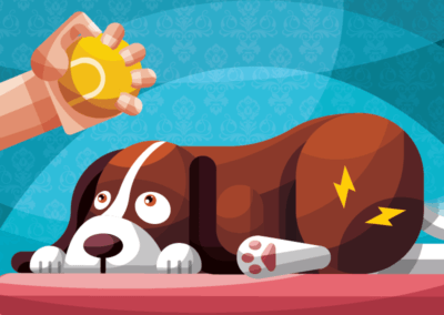 Is Your Best Friend In Pain?