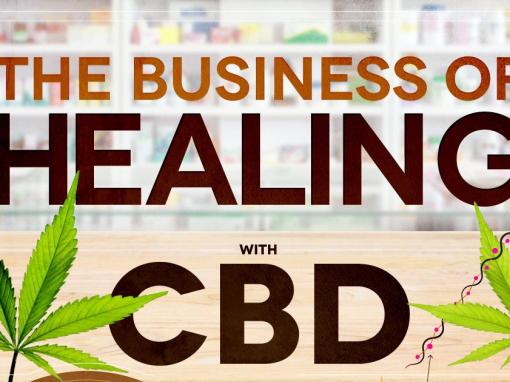 Business Of Healing With CBD