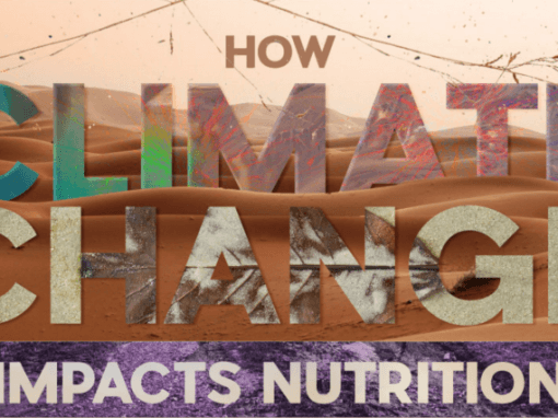 How Climate Change Impacts Nutrition