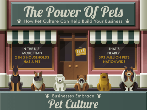 The Power Of Pets