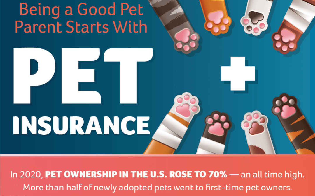 Being a Good Pet Parent Means Pet Insurance