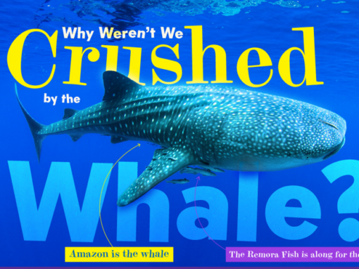Why Weren’t We Crushed by The Whale?
