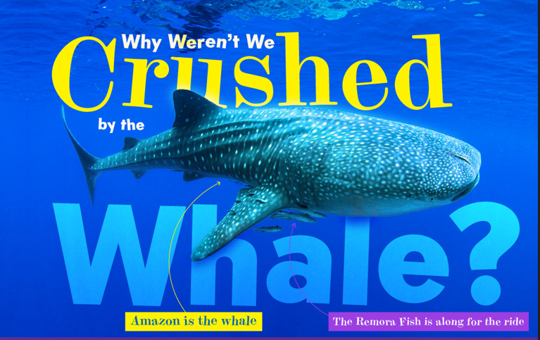 Why Weren’t We Crushed by The Whale?