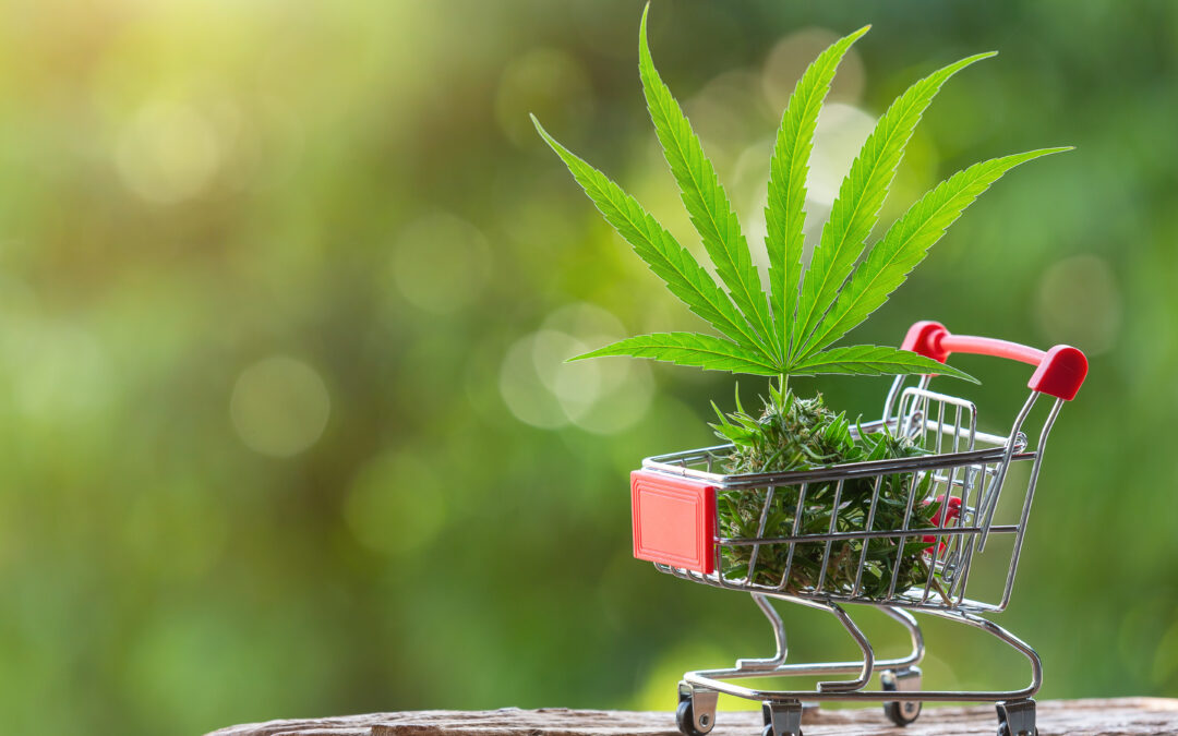 5 Holiday Marketing Ideas for CBD Products
