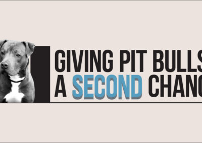 Giving Pit Bulls a Second Chance