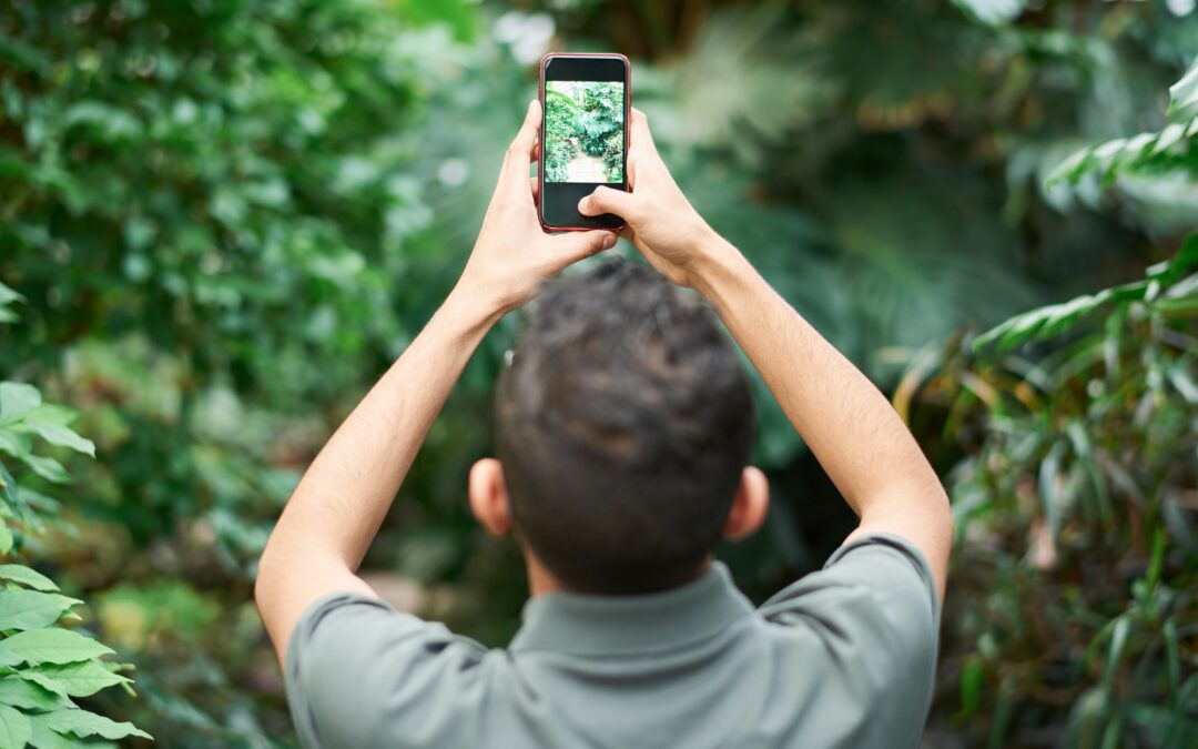 Crafting the Canopy: Turning Tree Care into a Social Media Masterpiece